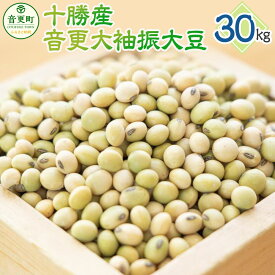 【ふるさと納税】【令和7年産】「JAおとふけ」 音更大袖振大豆 ＜選べる容量＞ 500g 1kg 2kg 6kg 10kg 30kg 大豆 生豆 豆 だいず お豆 まめ 豆類 イソフラボン おやつ おつまみ お取り寄せ 十勝 常温 国産 北海道 音更町 送料無料