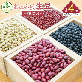 【ふるさと納税】令和7年産「JAおとふけ」 おとふけ生豆セット 500g×2袋×4種類 合計4kg 小豆 大豆 黒豆 金時豆 音更大袖振大豆 生豆 あずき だいず くろまめ きんときまめ 詰め合わせ お取り寄せ 十勝 常温 国産 北海道 音更町