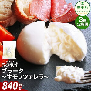 yӂ邳Ɣ[Łzy3ցzԔq u[^`bc@` 70g×12yD49z bc@`[Y `[Y bc@ bc@ u[^  i fU[g sU p