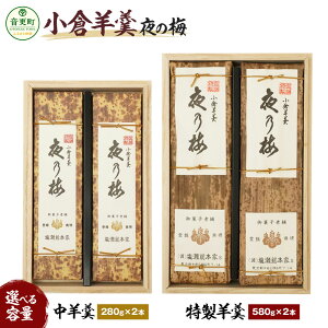 yӂ邳Ɣ[Łzqr㻁u̔~vi˔jIׂeʁr 280g×2{^r 580g×2{ r 悤 q悤 q [  aَq  퉷 kC X