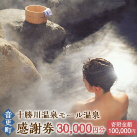 【ふるさと納税】十勝川温泉モール温泉感謝券30,000円分 100000円 10万円 温泉 旅館 ホテル レジャー施設 旅行 観光 トラベル チケット サービス券 地域商品券 北海道 十勝 音更町