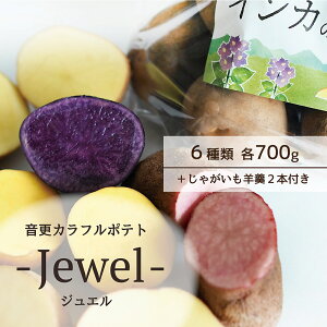 yӂ邳Ɣ[ŁzssttXJt|eg -Jewel- ( CĴ߂߁ECĴЂƂ݁EƂEm[Ur[EVh[NC[E₠ e700gEႪr 2{t )yA1
