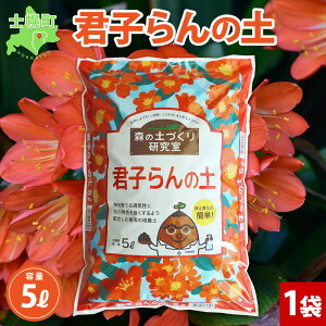 yӂ邳Ɣ[Łz kC Nq̓y 5L 1 y |{y Nq  NV A   K[fjO K[f | v^[ A yÂ Aւ   낢  