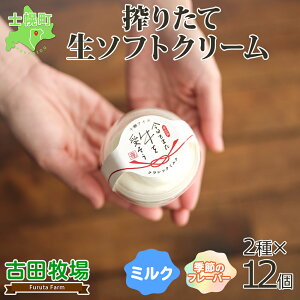 yӂ邳Ɣ[Łz kC Ócq  \tgN[ 2 140ml×12 ~N Gߌ q ACXN[   藧  XC[c fU[g  蕨 Mtg v[g  