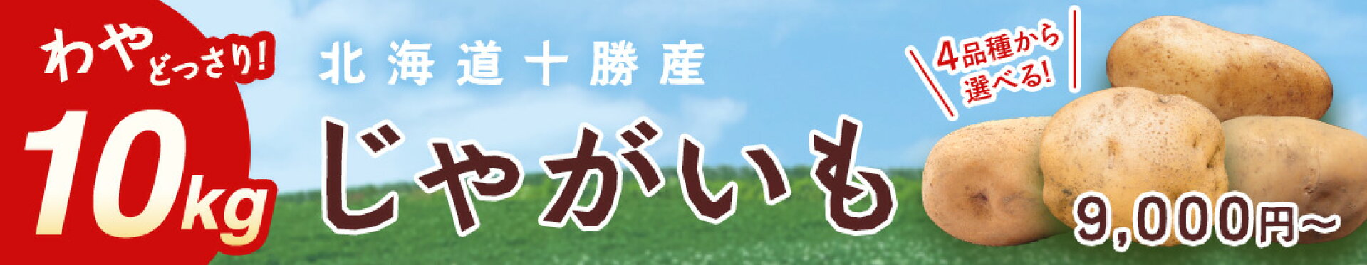じゃがいも