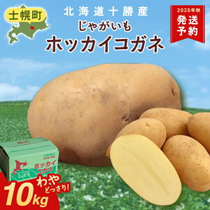 yӂ邳Ɣ[Łz25N10菇₶Ⴊ 10kg kC zbJCRKl kC kC WKC  |eg kC \Y e p Ƒ ٓ ܂Ƃߔ Mtg 
