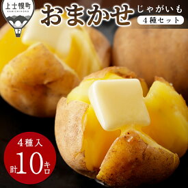 【ふるさと納税】北海道産 おまかせ じゃがいも 4種セット 計10kg（2.5kg×4種） 北海道 上士幌町 加藤農場 野菜 馬鈴薯 詰め合わせ 産地直送 レビューキャンペーン対象品 ◆2025年12月配送 ※オンライン申請対応