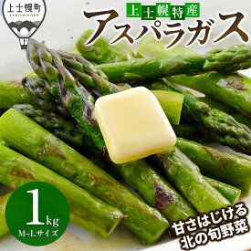 【ふるさと納税】2026年産 北海道産 グリーン アスパラガス 1kg 正品 M～2Lサイズ 高評価★4.7 北海道 JA上士幌町 野菜 夏野菜 アスパラ グリーンアスパラガス 産地直送 冷蔵 レビューキャンペーン対象品