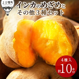 【ふるさと納税】北海道産 インカのめざめ その他3種のじゃがいもセット 10kg レビュー★4.5 北海道 上士幌町 加藤農場 野菜 インカの目覚め ジャガイモ 馬鈴薯 詰め合わせ 産地直送