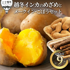 yӂ邳Ɣ[ŁzkCY z~ CĴ߂ [NC ڂ Zbg v9kg kC my _ nႪ CJ̖ڊo n鏒  lߍ킹 Yn 2026N02z