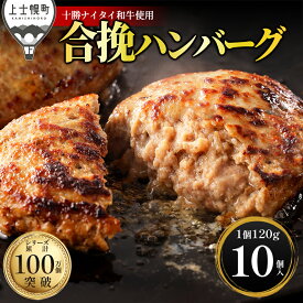 【ふるさと納税】十勝ナイタイ和牛 ハンバーグ 選べる 120g×8～20個 累計100万個突破 高評価★4.8 高評価ハンバーグ 国産 北海道 牛 豚 肉 牛肉 豚肉 国産牛 国産豚 黒毛和牛 お取り寄せ ギフト 冷凍ハンバーグ 発送時期が選べる 定期便が選べる