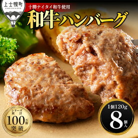【ふるさと納税】十勝ナイタイ和牛 ハンバーグ 選べる 120g×8～20個 累計100万個突破 高評価★4.8 高評価ハンバーグ 国産 北海道 牛 豚 肉 牛肉 豚肉 国産牛 国産豚 黒毛和牛 お取り寄せ ギフト 冷凍ハンバーグ 発送時期が選べる 定期便が選べる