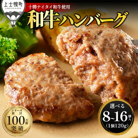 【ふるさと納税】十勝ナイタイ和牛 100% ハンバーグ 選べる 120g×8～16個 高評価ハンバーグ 国産 北海道 牛 肉 牛肉 和牛 100% 5・4等級 黒毛和牛 人気 お取り寄せ ギフト 冷凍ハンバーグ レビューキャンペーン対象品