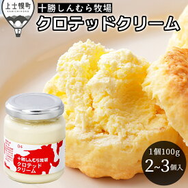 【ふるさと納税】十勝しんむら牧場 無塩 クロテッドクリーム 1個100g 計2～3個 北海道 放牧牛乳使用 冷蔵 レビューキャンペーン対象品