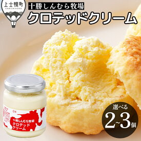 【ふるさと納税】十勝しんむら牧場 無塩 クロテッドクリーム 選べる 100g×2～3個 北海道 放牧牛乳使用 冷蔵