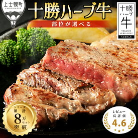 【ふるさと納税】十勝ハーブ牛 ステーキ 400g～ レビュー★4.6以上 累計8万セット突破 北海道 牛 肉 牛肉 赤身 国産 サーロイン ヒレ ギフト 旨味を逃さないスキンパック包装 冷凍 4タイプから選べる 発送時期が選べる レビューキャンペーン対象品 ※オンライン申請対応