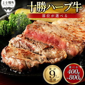 【ふるさと納税】十勝ハーブ牛 ステーキ 選べる 400g～800g 高評価★4.6 累計9万セット突破 高評価ステーキ 国産 北海道 牛 肉 牛肉 国産牛 赤身 サーロイン モモ ヒレ フィレ 真空パック 人気 ギフト 冷凍 発送時期が選べる