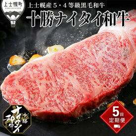 【ふるさと納税】十勝ナイタイ和牛 定期便 5回 5ヵ月コース 北海道 牛 肉 牛肉 和牛 5・4等級 黒毛和牛 オレイン酸含有率55%以上 サーロイン ミスジ ステーキ ハンバーグ 冷凍 レビューキャンペーン対象品 ※オンライン申請対応