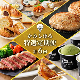 【ふるさと納税】北海道　定期便　6回　アイス　サーロイン　バター・チーズ　冷凍ハンバーグ　冷凍パン　冷凍餃子｜かみしほろ特選定期便　6ヵ月コース　※オンライン申請対応