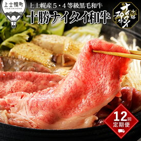 【ふるさと納税】北海道　和牛肉　5・4等級　定期便　1年コース　サーロイン　ヒレ肉　焼肉　すき焼き　冷凍ハンバーグ｜十勝ナイタイ和牛定期便　12ヵ月コース　※オンライン申請対応