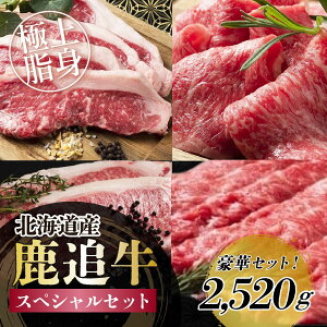 【ふるさと納税】鹿追牛 スペシャルセット 2,520g 【 ふるさと納税 人気 おすすめ ランキング 牛 肉 牛肉 ビーフ ロース ステーキ すき焼き 焼肉 大容量 ミート 北海道 鹿追町 送料無料 】 SKA0