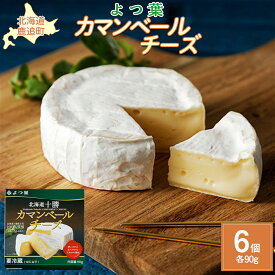 【ふるさと納税】北海道十勝産 よつ葉カマンベールチーズ6個 【 ふるさと納税 人気 おすすめ ランキング よつ葉 カマンベール カマンベールチーズ 加工食品 乳製品 チーズ 贈答 プレゼント 贈り物 ギフト セット 北海道産 十勝産 北海道 鹿追町 送料無料 】 SKA032