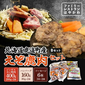 【ふるさと納税】えぞ鹿肉セットB 【 ふるさと納税 人気 おすすめ ランキング エゾシカ肉 えぞ鹿肉 蝦夷鹿肉 蝦夷シカ肉 えぞ鹿ジンギスカン えぞ鹿ソーセージ えぞ鹿ハンバーグ 北海道 鹿追町 送料無料 】 SKF004