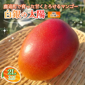 yӂ邳Ɣ[ŁzkCǎY@̑zix11x`j@2L×1ʁy ӂ邳Ɣ[ lC  LO }S[ }S[t[c ʕ  ʎ t[c nEX͔|}S[ 