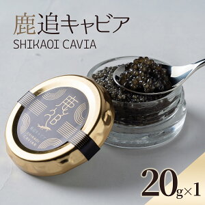 yӂ邳Ɣ[ŁzǃLrA Iׂ 10g ` 20gy ӂ邳Ɣ[ lC  LO LrA Y    Hi Ⓚ  ґ O Mtg  ܂ kC ǒ 