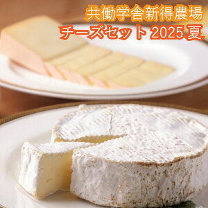 yӂ邳Ɣ[ŁzwɐV_`[YZbg 2025  Ԍ ʌ Č T kC V w \ `[Y [  Nbg v`vW[ t}[Wu t