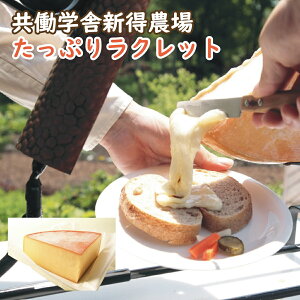 yӂ邳Ɣ[ŁzwɐV_`[Y Ղ胉Nbg 1,000g kC \ `[Y [ Nbg Nbg`[Y i  Y V  yF-2601z yVX[p[SALE 9