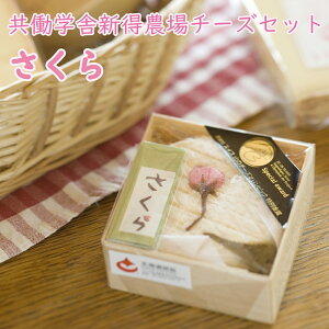 yӂ邳Ɣ[ŁzwɐV_`[YZbg 2026 Ԍ ʌ t kC V w \ `[Y [  䂫 Nbg 葢  C ܂