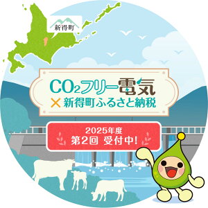 �y�ӂ邳�Ɣ[�Łz�V�����YCO2�t���[�̓d�C 10,000�~�R�[�X�@�����\���O�ɐ\��������K�����m�F���������yAJ-1001�z