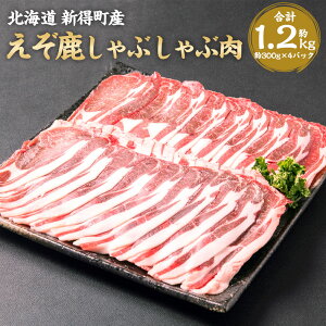 yӂ邳Ɣ[ŁzԂԓ 600g`1200g WrG WrG G]VJ  G]    Ԃ XCX ؂ p[eB[ SDGs t[hX Ⓚ kC \ V
