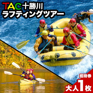 yӂ邳Ɣ[ŁzTAC\색teBOJk[cA[ teBO Jk[ cA[ V Ҍ cA[ s kC VyR-2101z yVX[p[SALE 9J