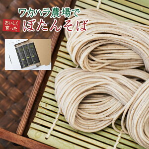 yӂ邳Ɣ[ŁzJn_łڂ񂻂  or ז 8lO 200g 4 800g Zbg lߍ킹   \o  ߂ ˗    O kC V 