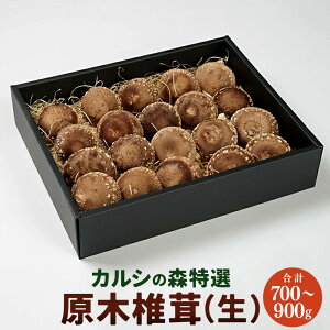 【ふるさと納税】カルシの森特選 原木椎茸(生) 椎茸 しいたけ シイタケ 生椎茸【Y-1301】