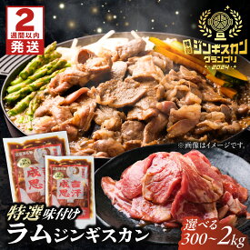 【ふるさと納税】＼スピード発送／上田のラムジンギスカン【選べる容量300g〜2kg】| 株式会社上田精肉店 [BNAM022]