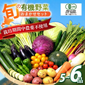 【ふるさと納税】有機野菜セット| 大晶ファーム[BNAP002] 野菜セット 野菜 セット やさいセット