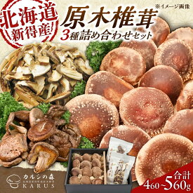 【ふるさと納税】原木椎茸 生・乾燥 詰め合わせセット | 合同会社カルシ[BNAU001]