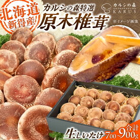 【ふるさと納税】原木 生しいたけ 700g〜900g | 合同会社カルシ[BNAU002]