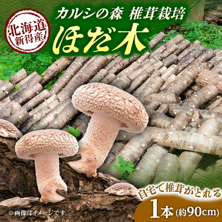 楽天市場】【ふるさと納税】原木しいたけ栽培 ほだ木 1本 | 合同会社 