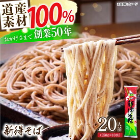 【ふるさと納税】新得そば 10把入り | 新得物産株式会社[BNBE010]