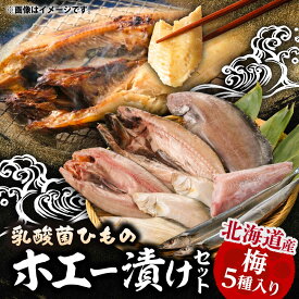 【ふるさと納税】山のひものホエー漬け 梅セット | 有限会社みうら[BNBL001]