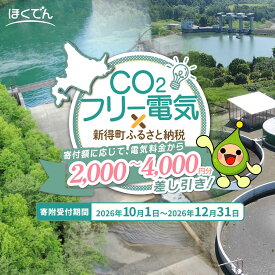 【ふるさと納税】【選べる料金】CO2フリー電気×新得町ふるさと納税 2000～4000円 [BNBN001] 電気料金 電気代 電気 再生可能エネルギー 再エネ電気 再エネ 環境 ほくでん 北海道電力