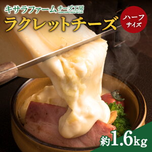 yӂ邳Ɣ[ŁzLTt@[ `[YH[̃Nbg `[Yn[tTCY I hA O^ pɏ悹āIHוlX Nbg1.6kg͂ n`[Y C `[Yg[X