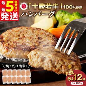 【ふるさと納税】 ＼ 5営業日以内発送 ／ 【 選べる発送月と内容量 】 北海道 十勝若牛 ハンバーグ 発送月が選べる 牛肉 肉 国産 赤身肉 ブランド牛 贈り物 お中元 夏ギフト のし 熨斗 清水町 送料無料