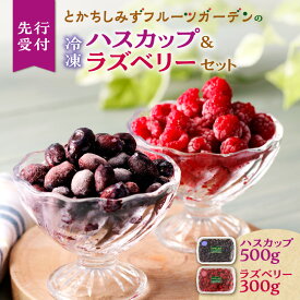 【ふるさと納税】【令和6年産 先行受付】とかちしみず フルーツガーデン の ハスカップ 500g & ラズベリー 300g セット 計800g 詰め合わせ フランボワーズ 木苺 果物 フルーツ ジャム 甘酸っぱい 冷凍 お取り寄せ 北海道 清水町 送料無料