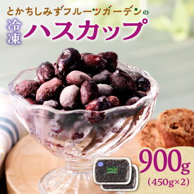【ふるさと納税】高評価★5.0 冷凍ハスカップ 900g【 2026年発送先行予約！ 】とかちしみずフルーツガーデン 北海道産 ハスカップ 産地直送 果物 フルーツ 冷凍 ハスカップ 冷凍フルーツ お取り寄せ 希少 不老長寿 栄養豊富 フルーツ 栄養豊富 北海道 清水町 送料無料