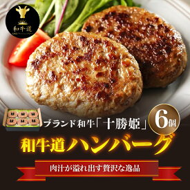 【ふるさと納税】ブランド 和牛 「 十勝姫 」の 和牛道 ハンバーグ 120g × 6食 セット 牛 牛肉 黒毛和牛 生ハンバーグ 個包装 小分け グラスフェッドビーフ 国産 簡単調理 惣菜 北海道産 冷凍 お取り寄せ 北海道 清水町 送料無料